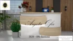 3029 Ofis Bankosu